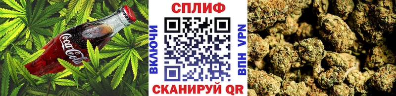 Canna-Cookies марихуана  Петропавловск-Камчатский 
