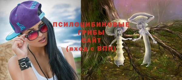 синтетический гашиш Алексеевка