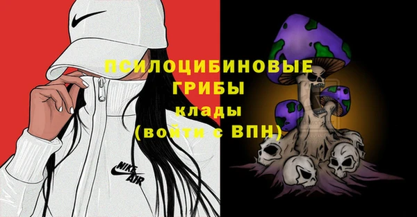 дмт Аркадак